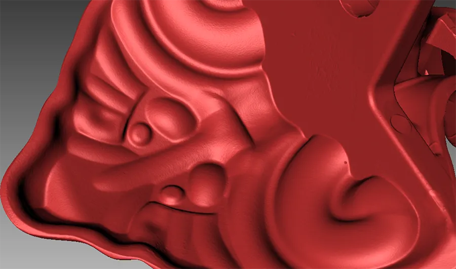 3D Scan data close up (Back View) Image